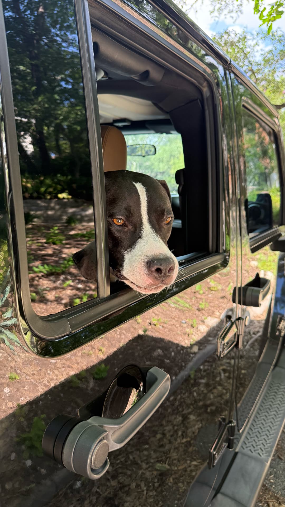 Milo, candidate for U.S. Senate, looking out the window of the campaign vehicle